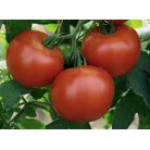 Tomato Trans-Volga gift