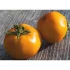 Tomato Yellow big