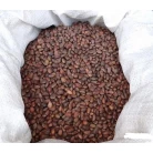 Cedar nut oil, 1000 ml, for healing
