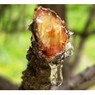Cedar resin 30% / propolis, 100 ml