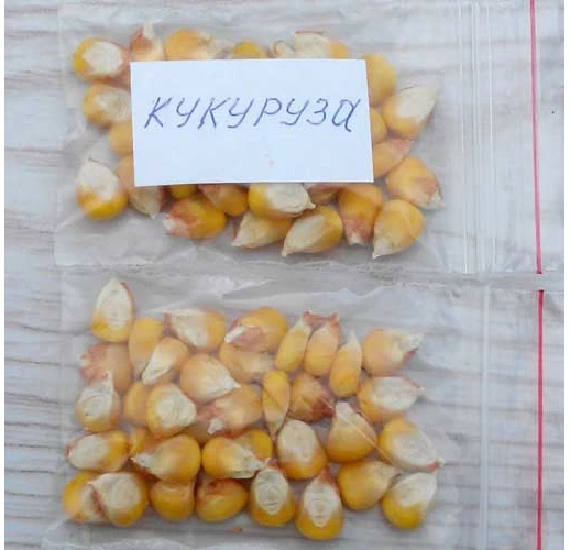 Corn sugar