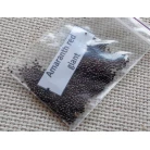 Amaranth red giant