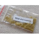 Wild Camomile
