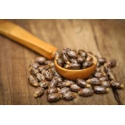 Castorbean (Ricinus communis)
