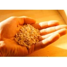 Cedar nuts press cake, 200 g
