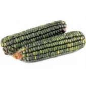 Corn / Pumpkin / Melon (24)
