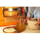 Cedar nut oil, 500 ml, plastic bottle