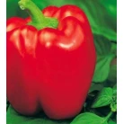 Sweet pepper "Red Cube"