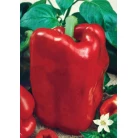 Sweet pepper Bogatyr