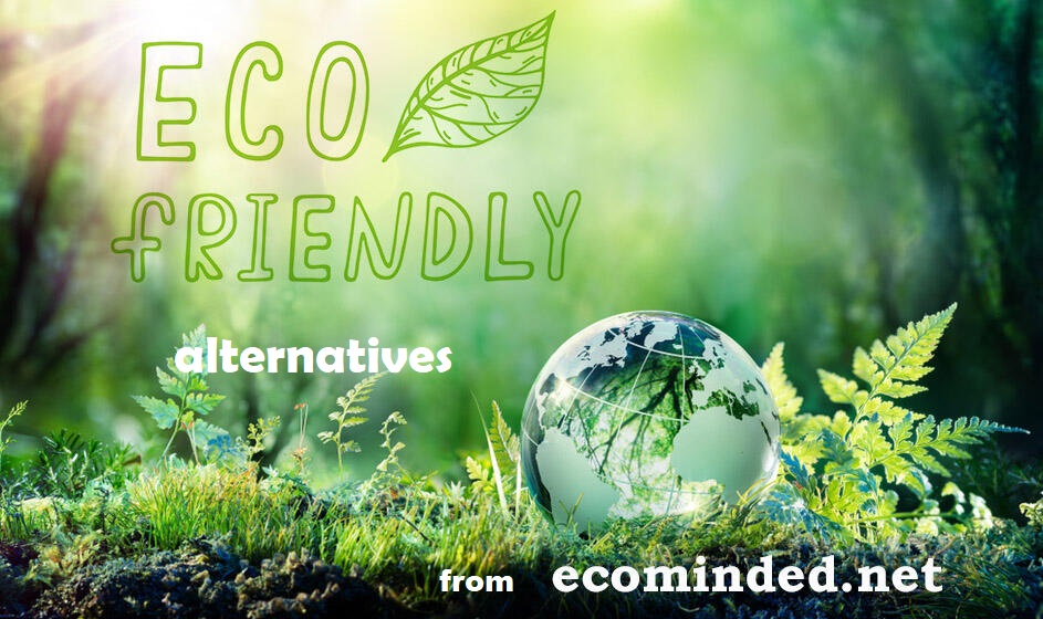  Ecominded-2026 promotion   