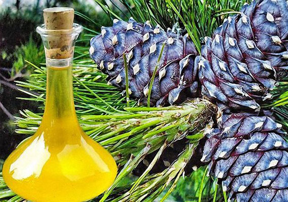 Siberian Cedar Nut Oil Fights Parasites            